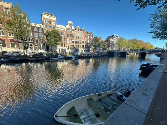 Dji pocket3's live image recreates Dutch beauty