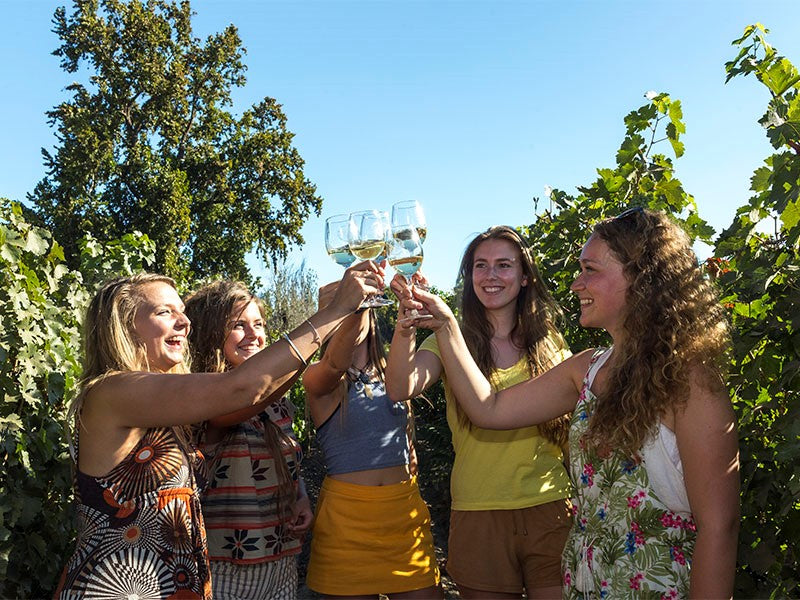 Grapes are plentiful at harvest time - Chile's most popular harvest festival